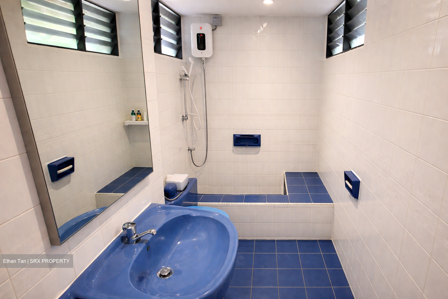 Dunearn Road (D11), Condominium #533963571